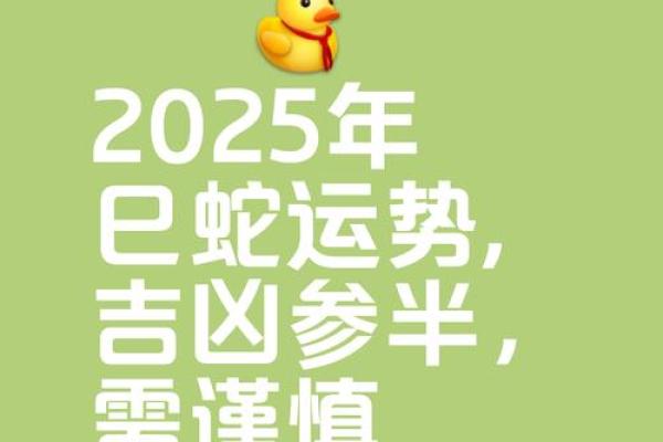 本命年属蛇的未来展望