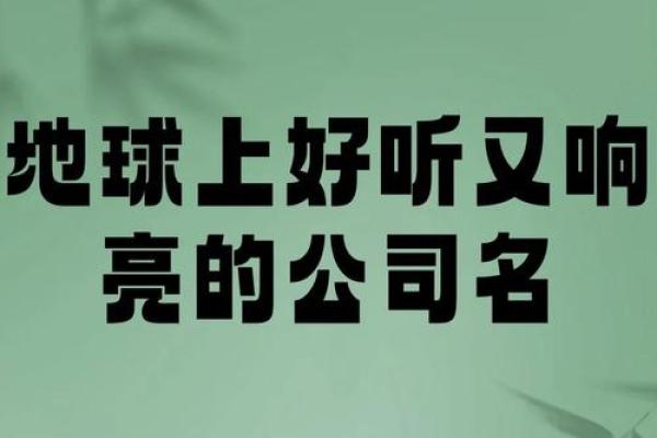 利群品牌灵感：为公司选择一个响亮的名字