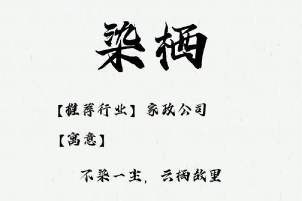 家政公司命名策略：符合市场趋势的名字