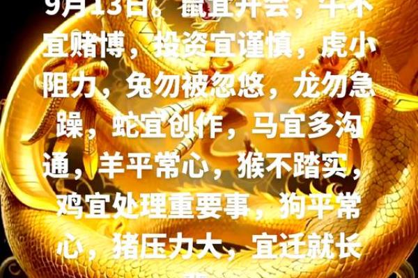 本命年鼠男如何调整饮食以增强运势