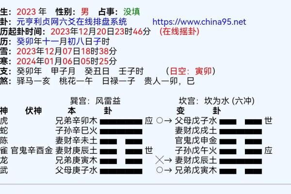 朱雀命理解析：哪些人适合朱雀之象