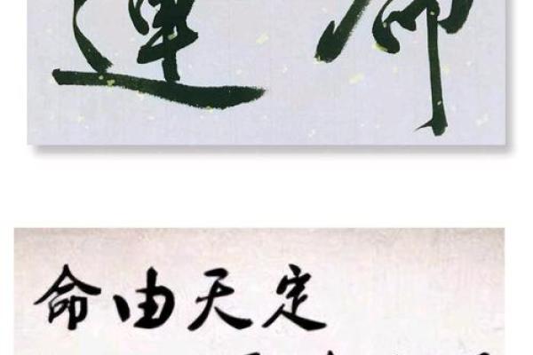 揭开命运的面纱：命与运的本质解读