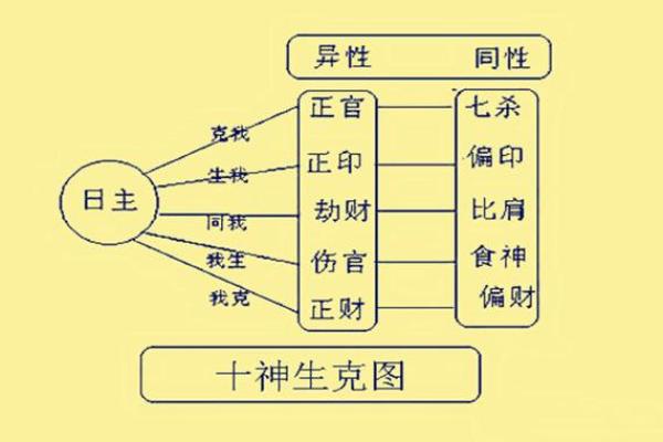 十神与五行的关系揭秘，如何运用它们来提升命运运势？