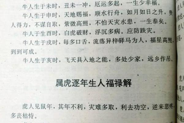 属虎运势解析：如何化解不利因素助力人生