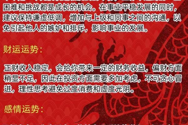 属马人本命年面临的挑战与机遇