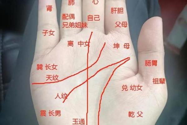 命运好不好，关键看哪些因素