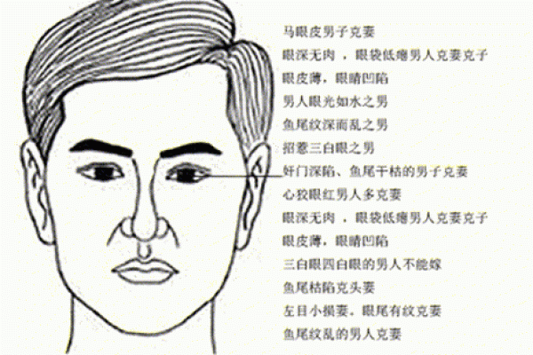 男人什么脸型代表富贵命 解析面相与财富运势的关系
