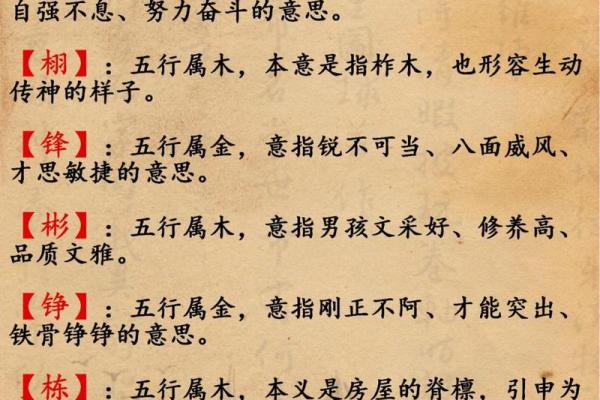 五行属木的字如何为男孩起名助力性格与命运发展