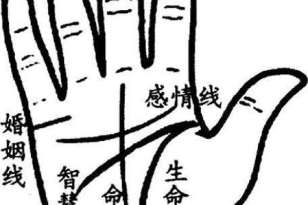 男人手纹揭示富贵命运的秘密解析