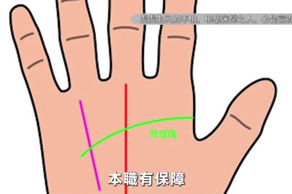 男人手纹揭示富贵命运的秘密解析