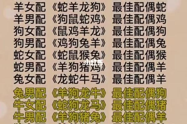 女兔男猪婚姻是否和谐？生肖配对分析与建议