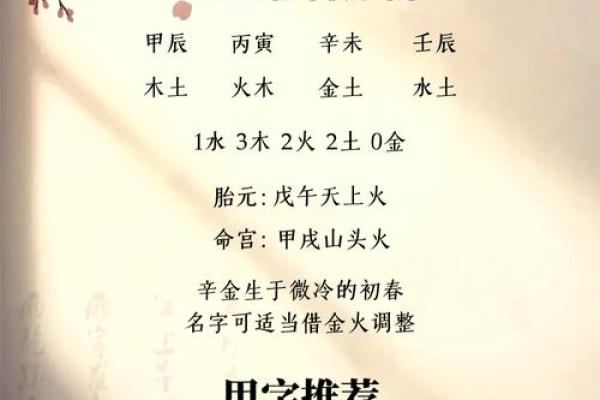 带马名字的背后含义：如何为你的马选择合适的名称