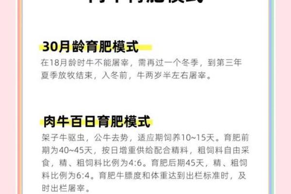 牛女如何在本命年内保持健康的作息