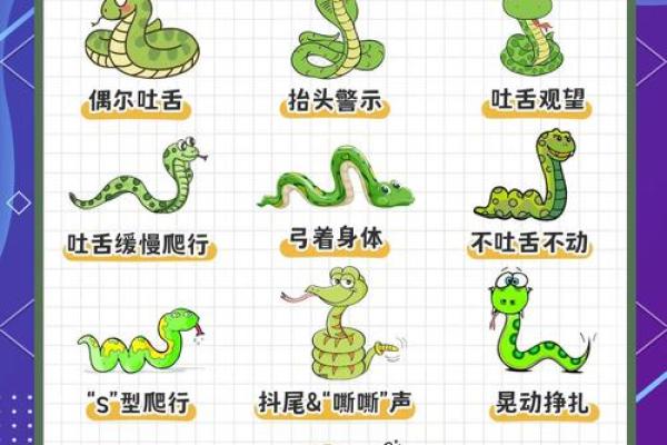蛇与龙的关系：合适与否