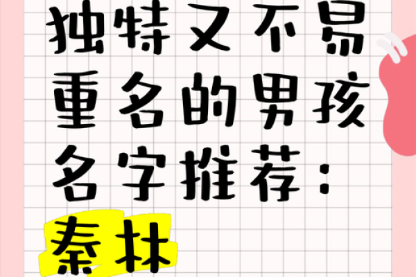 打造独特个性：男孩最佳名字推荐