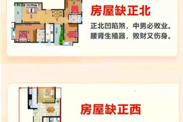 如何为出生的人打造和谐家居风水