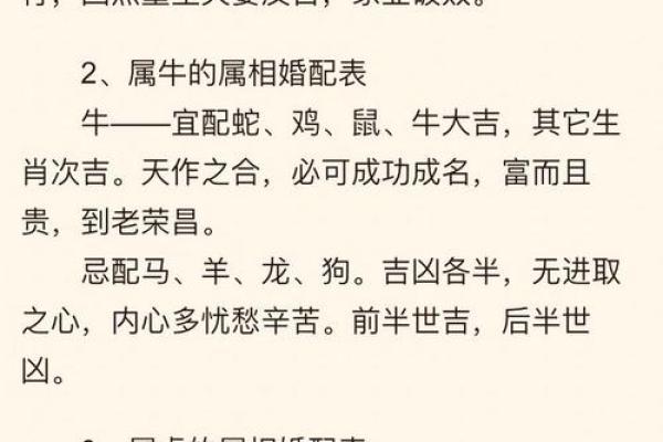 本命年鼠女如何规避职场中的误区