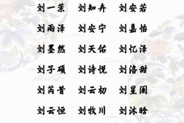 姓氏与名字搭配的艺术：如何选择一个既有意义又独特的名字