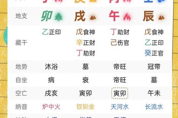 本命年属兔人如何通过积极行动改变运势