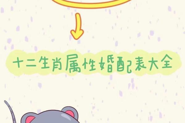 猴鼠配对：性格与命运的碰撞