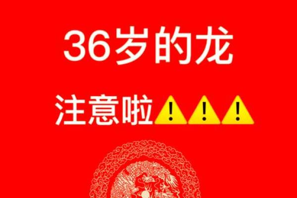 属龙本命年运势解析与指南