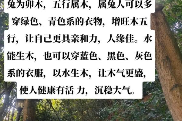 水木命的含义与特征解析