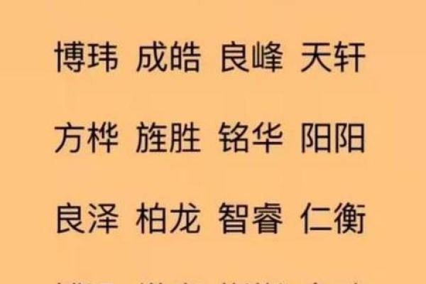 适合元旦宝宝的寓意深远名字大全