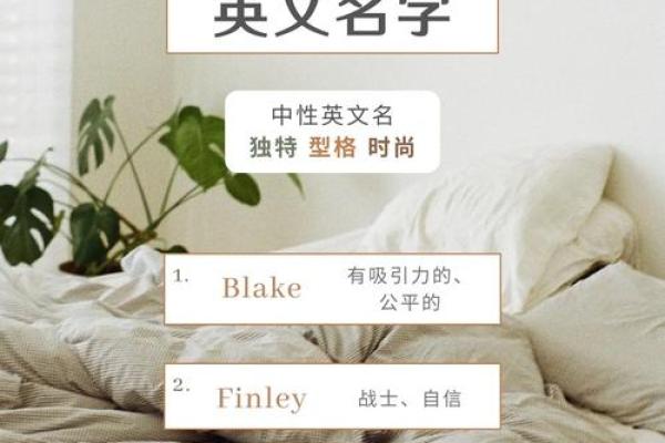 英文名字的文化差异及其选择指南
