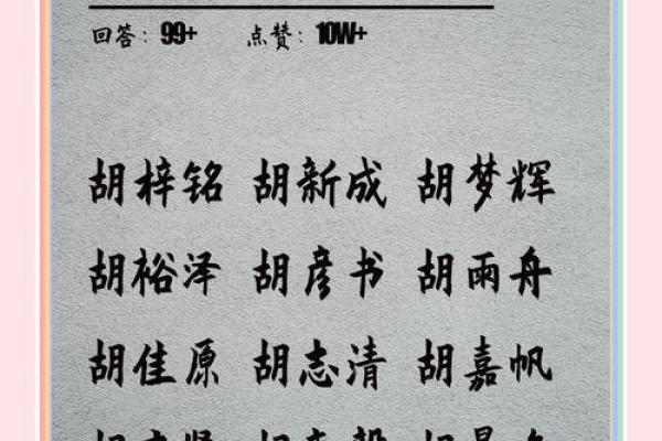 胡姓宝宝名字大全 选择适合孩子的名字方法