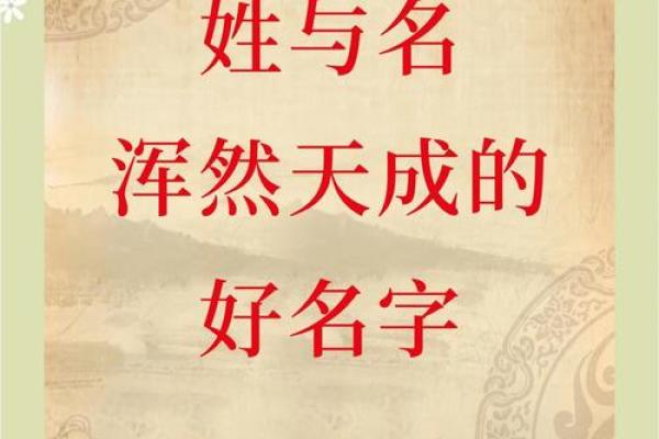 起名打分免费工具：分析名字的音韵与含义