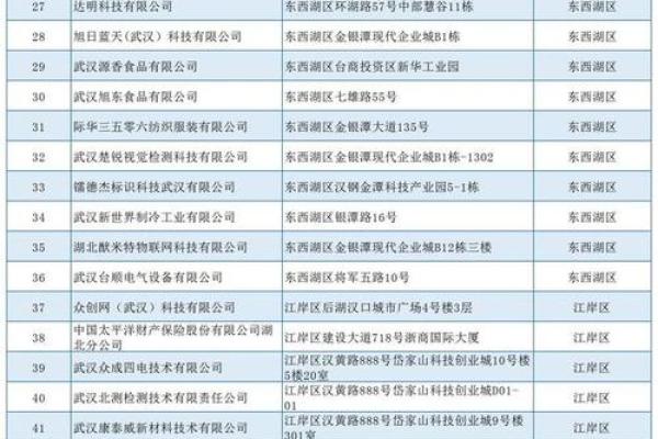 运输公司名字的秘密：如何与行业竞争者区分开