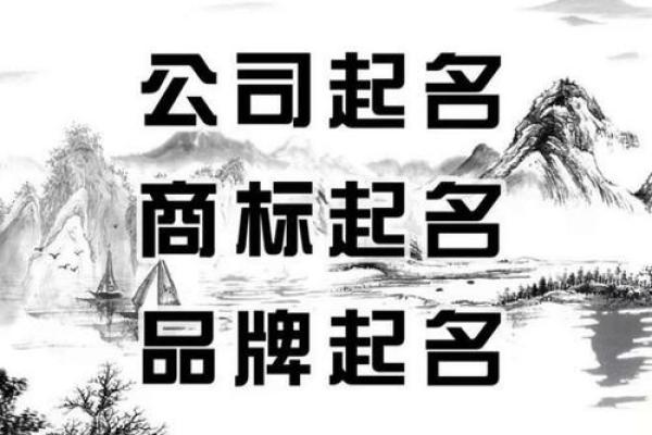 企业名称打分标准解析：为品牌命名提供参考