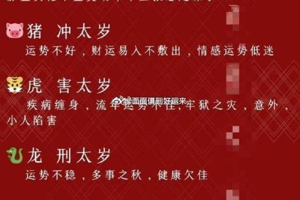 本命年马女如何规避财务危机