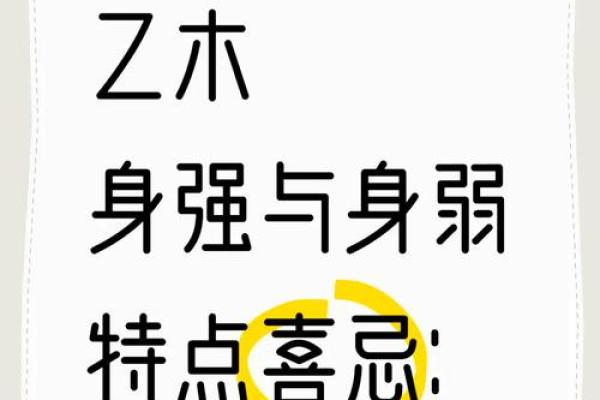已木命的人生轨迹与性格解析