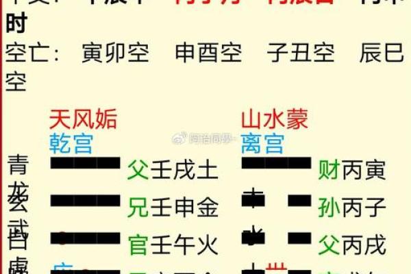 震命与东四命的深度解析及其命理影响