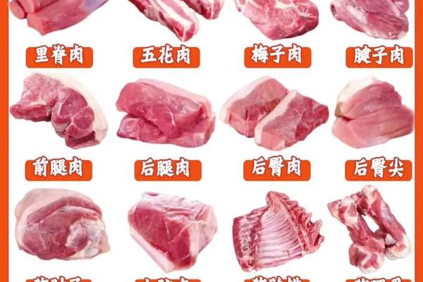 猪与猪能否相配的五个关键因素解析