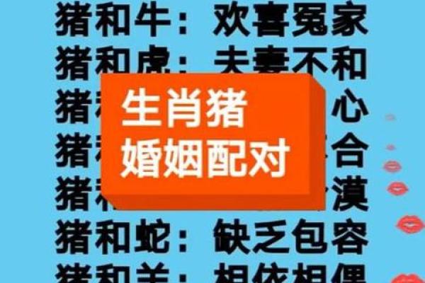 猪与猪能否相配的五个关键因素解析