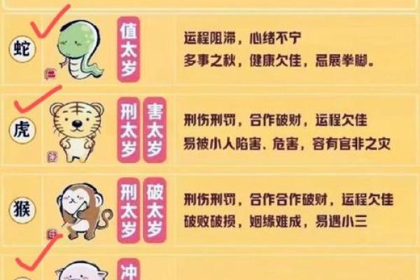 本命年鼠女的职场晋升与机会分析