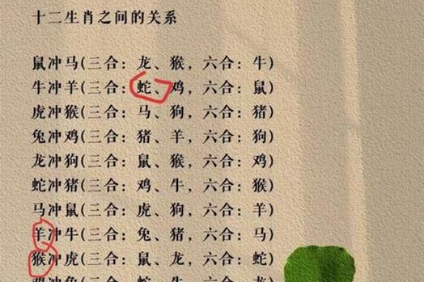猴男猪女婚配的优缺点全面解读