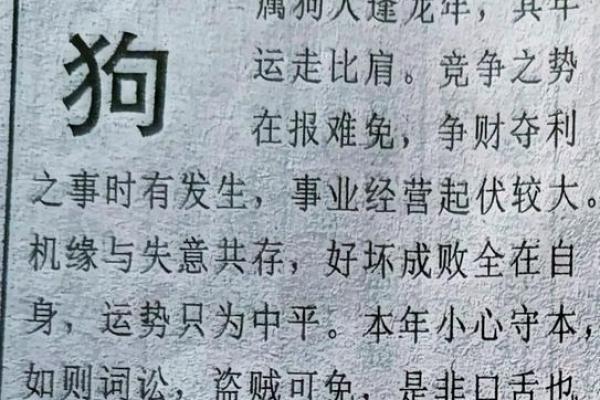 属狗人的每月运势报告：事业、爱情与健康全方位分析