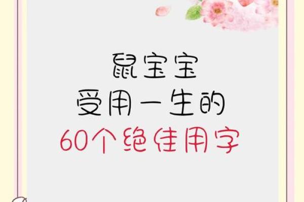 鼠宝宝名字大全：灵感来源与寓意的巧妙结合