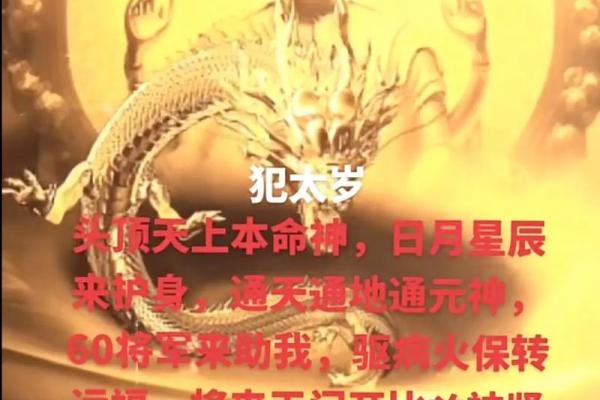 本命年马女的事业发展趋势