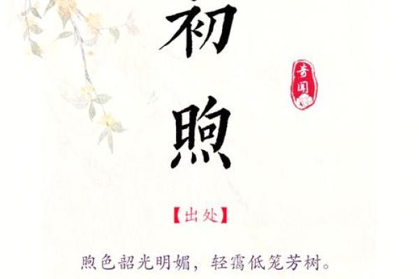 带明的名字：为孩子注入光明与智慧