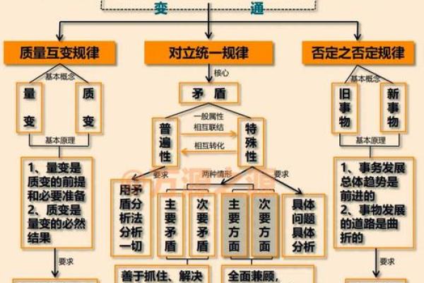 中上等命的五大关键因素揭秘