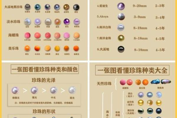 珍珠命的含义与象征解析