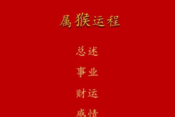 龙年出生者的整体运程：如何迎接挑战，创造辉煌