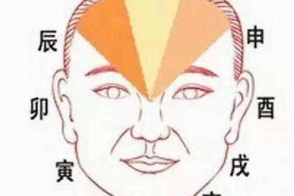 五官命解析：如何通过面部特征看人生运势