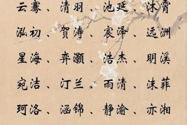 生辰八字在公司起名中的应用与实践案例