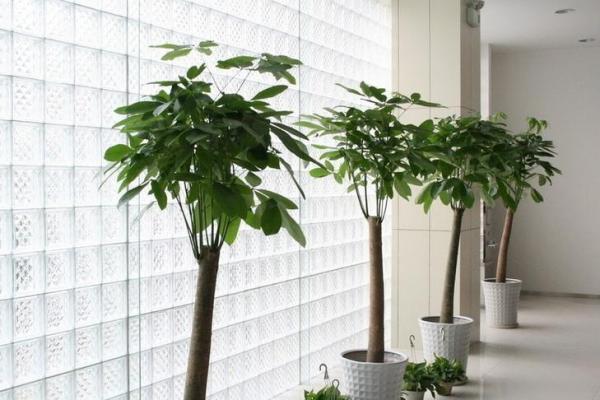 炮弹壳摆放在办公室的风水解析与注意事项