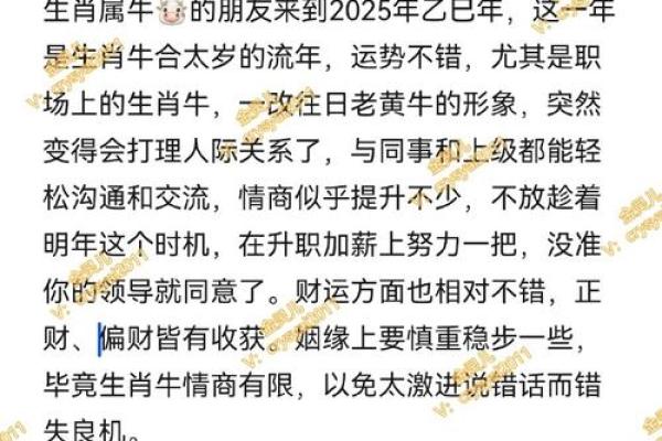 本命年牛男如何利用风水提升运势